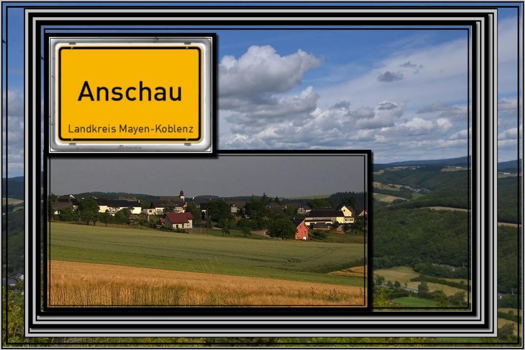 Schaefer * Anschau